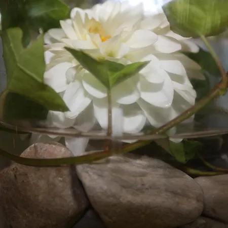 Rosenrot Apartamento *