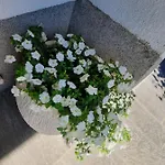 Rosenrot * Фюген