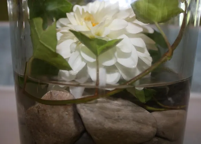 Rosenrot 아파트 *